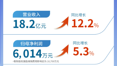 pp电子app官网（002219）发布2024年半年报：营业收入及扣非归母净利润均实现双位数增长