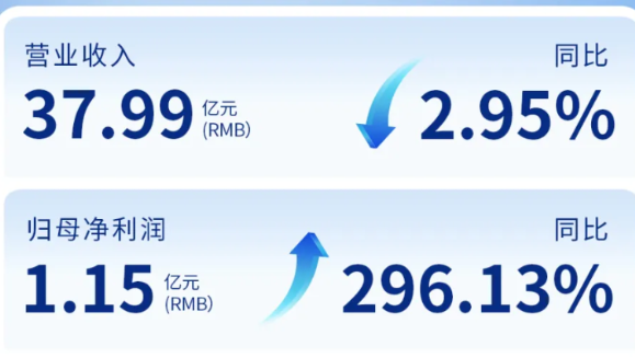 pp电子app官网（002219）发布2024年年度报告：归母净利润增长296%