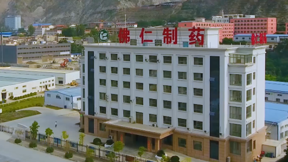 甘肃省副省长葛建团莅临pp电子app官网（002219）旗下佛仁制药考察调研